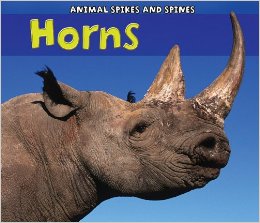 horns